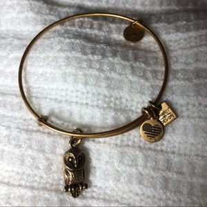 Last call! 🎉 Alex and Ani owl bracelet